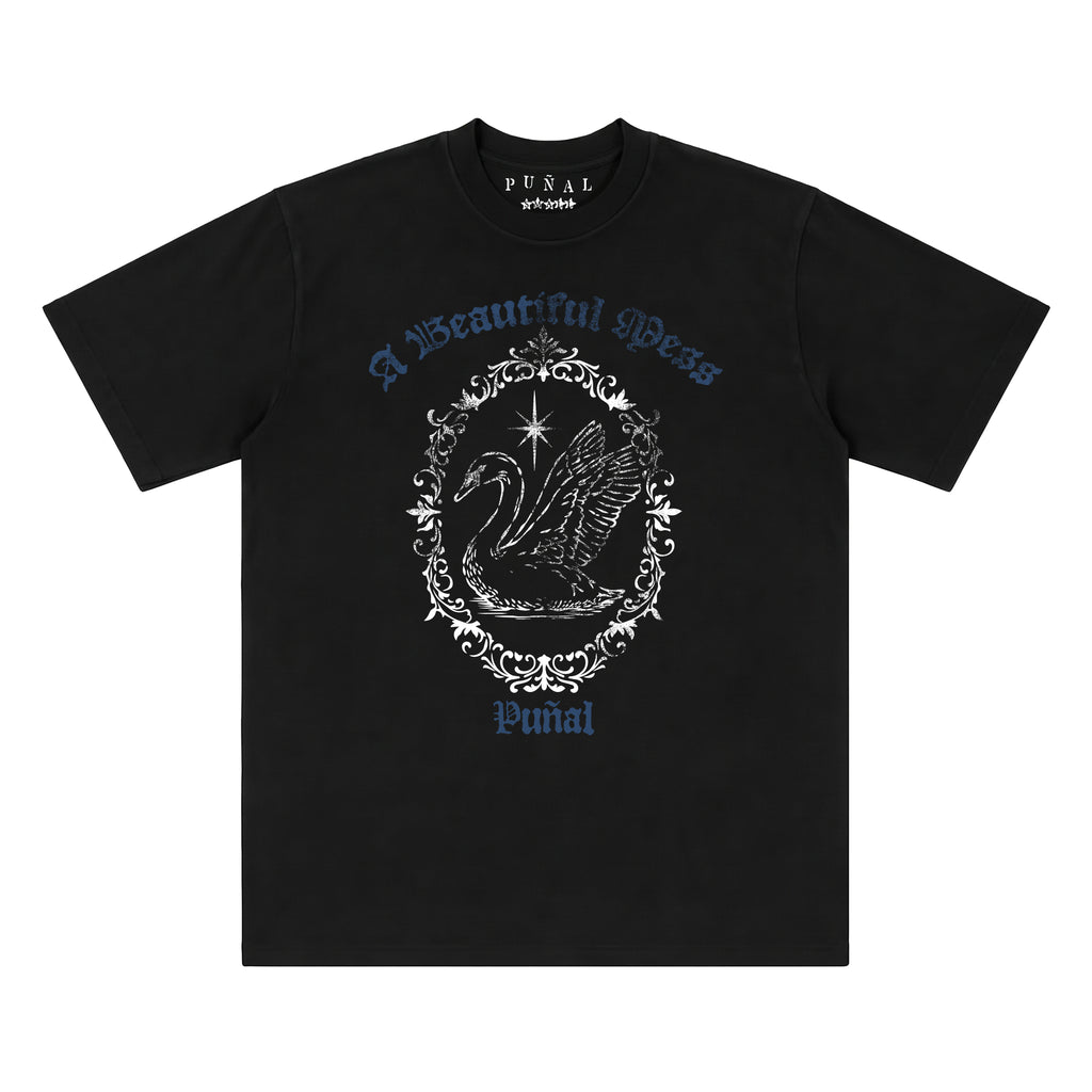 HEAVENLY DISTURBANCE BLACK TEE